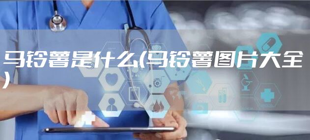 马铃薯是什么(马铃薯图片大全)