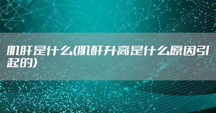 肌肝是什么(肌酐升高是什么原因引起的)