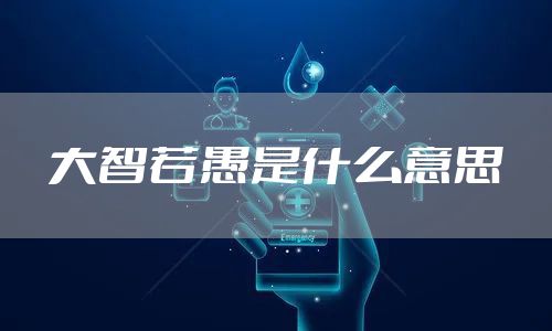 大智若愚是什么意思