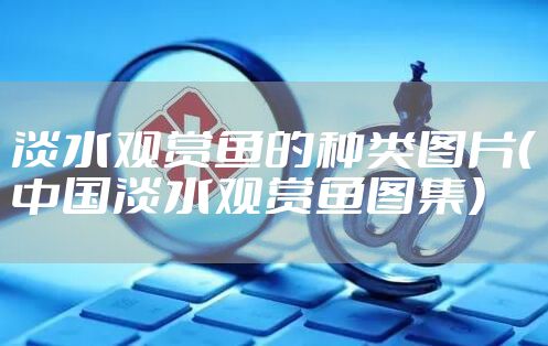 淡水观赏鱼的种类图片（中国淡水观赏鱼图集）