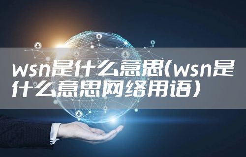 wsn是什么意思（wsn是什么意思网络用语）