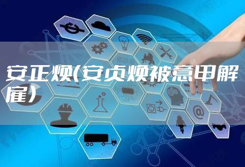 安正焕(安贞焕被意甲解雇)