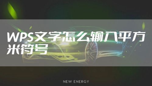 WPS文字怎么输入平方米符号