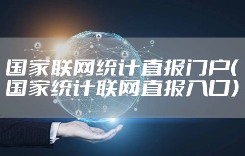 国家联网统计直报门户（国家统计联网直报入口）
