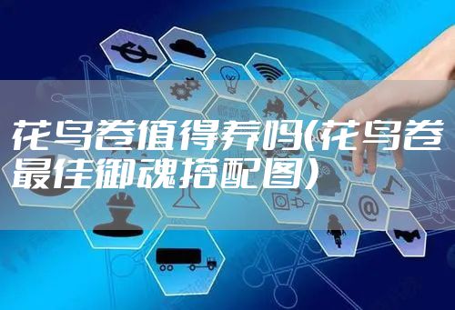 花鸟卷值得养吗（花鸟卷最佳御魂搭配图）