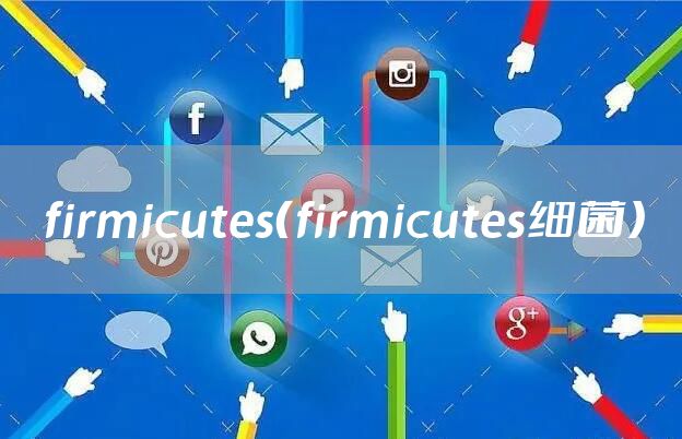 firmicutes（firmicutes细菌）