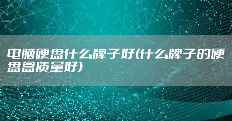 电脑硬盘什么牌子好(什么牌子的硬盘盒质量好)