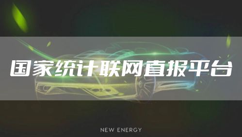 国家统计联网直报平台