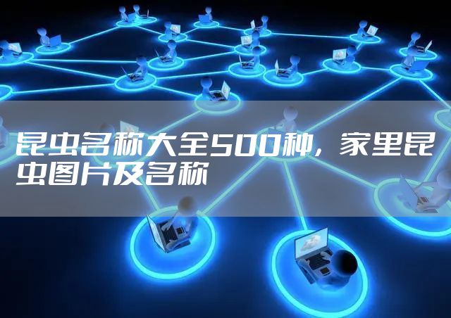 昆虫名称大全500种，家里昆虫图片及名称