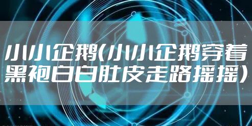 小小企鹅（小小企鹅穿着黑袍白白肚皮走路摇摇）