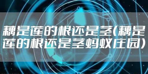 藕是莲的根还是茎（藕是莲的根还是茎蚂蚁庄园）