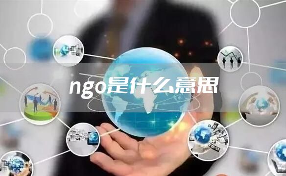 ngo是什么意思