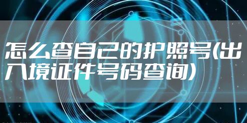 怎么查自己的护照号(出入境证件号码查询)