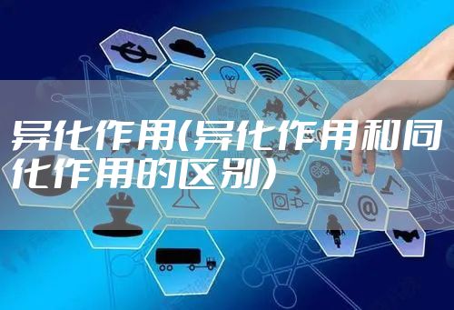 异化作用（异化作用和同化作用的区别）