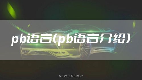 pb语言(pb语言介绍)