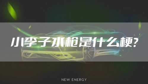 小李子水枪是什么梗？