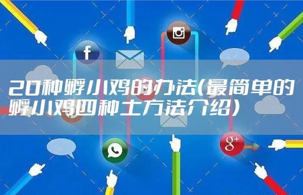 20种孵小鸡的办法（最简单的孵小鸡四种土方法介绍）