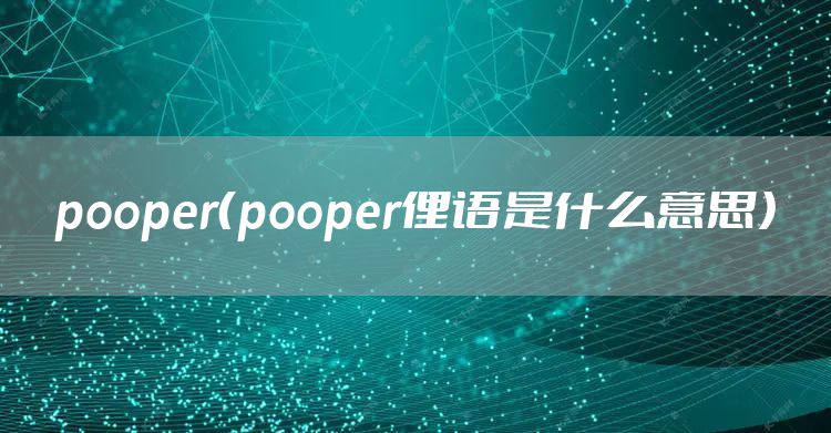 pooper（pooper俚语是什么意思）