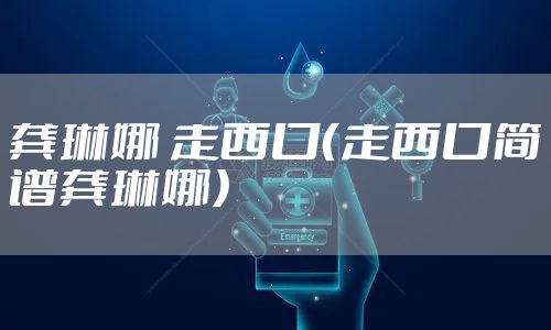 龚琳娜 走西口(走西口简谱龚琳娜)