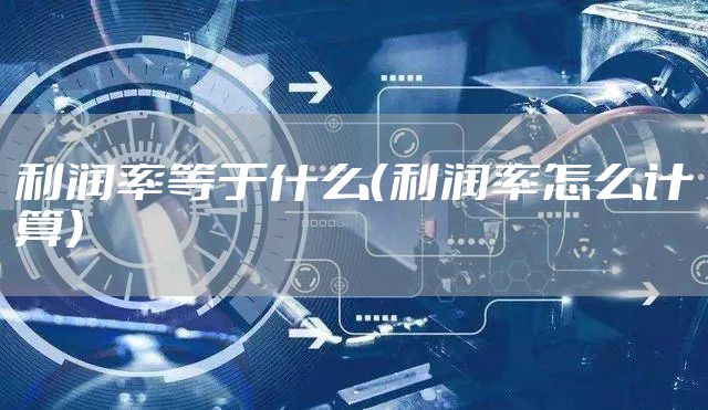 利润率等于什么（利润率怎么计算）