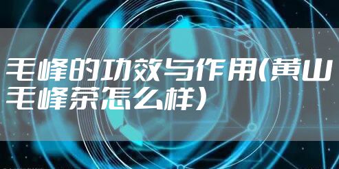毛峰的功效与作用（黄山毛峰茶怎么样）
