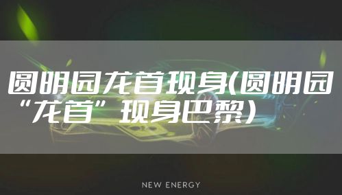 圆明园龙首现身(圆明园“龙首”现身巴黎)