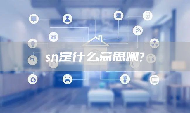 sn是什么意思啊？