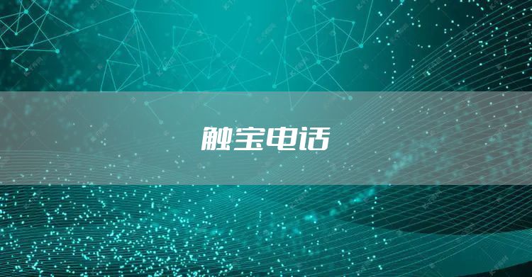 触宝电话