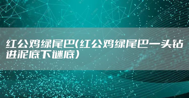 红公鸡绿尾巴（红公鸡绿尾巴一头钻进泥底下谜底）