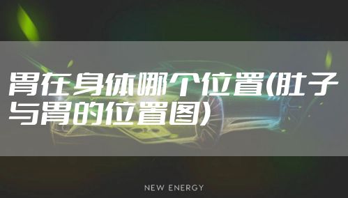 胃在身体哪个位置(肚子与胃的位置图)