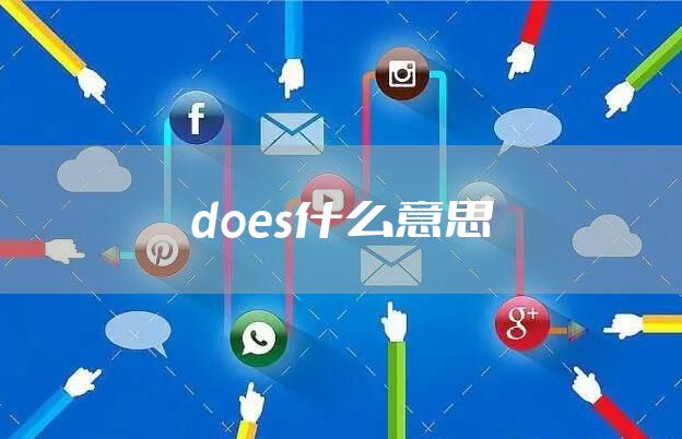 does什么意思