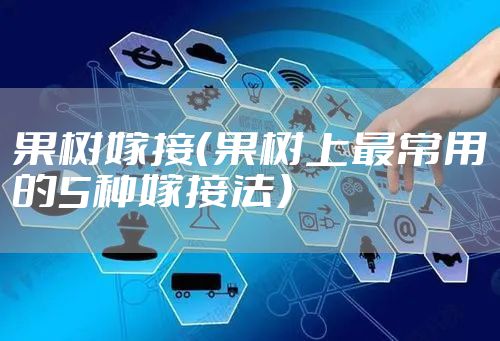 果树嫁接(果树上最常用的5种嫁接法)