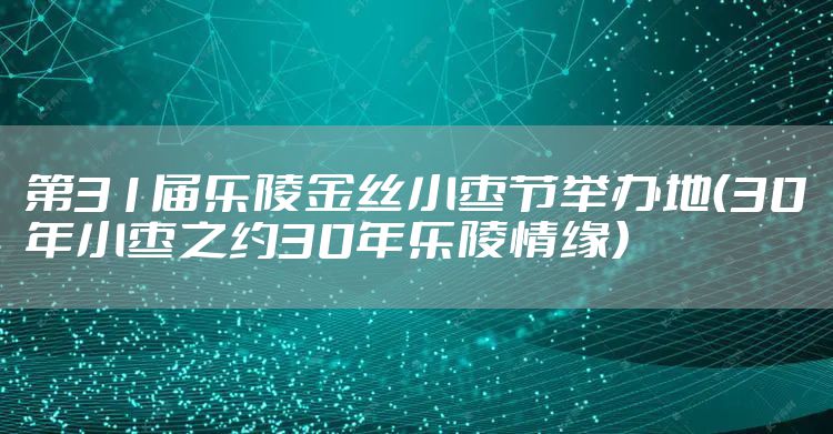 第31届乐陵金丝小枣节举办地(30年小枣之约30年乐陵情缘)