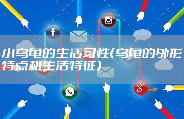 小乌龟的生活习性（乌龟的外形特点和生活特征）