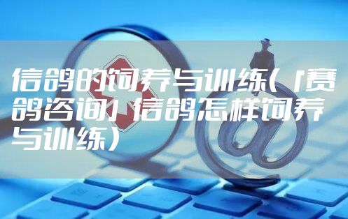 信鸽的饲养与训练（「赛鸽咨询」信鸽怎样饲养与训练）