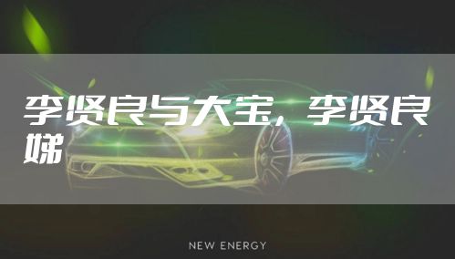 李贤良与大宝，李贤良娣