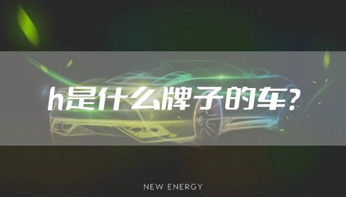 h是什么牌子的车？