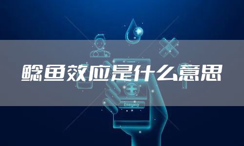 鲶鱼效应是什么意思