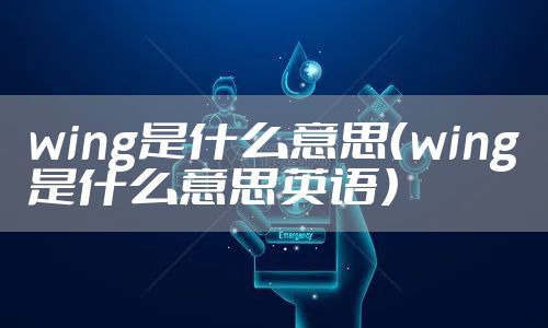 wing是什么意思(wing是什么意思英语)