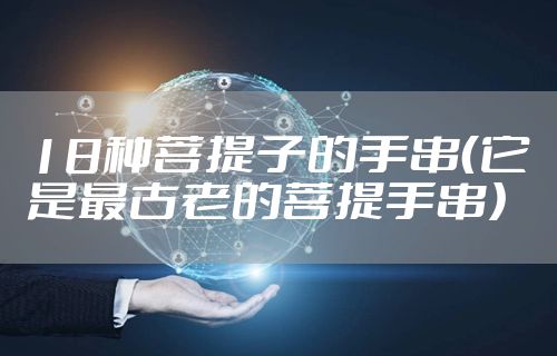 18种菩提子的手串(它是最古老的菩提手串)