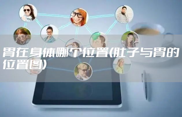 胃在身体哪个位置(肚子与胃的位置图)