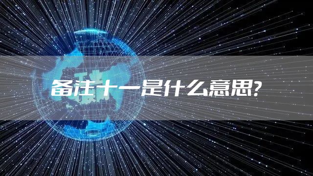 备注十一是什么意思？