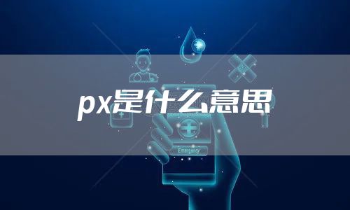 px是什么意思