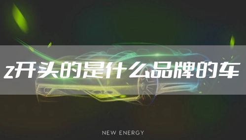 z开头的是什么品牌的车