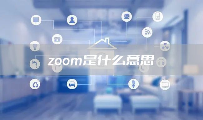 zoom是什么意思