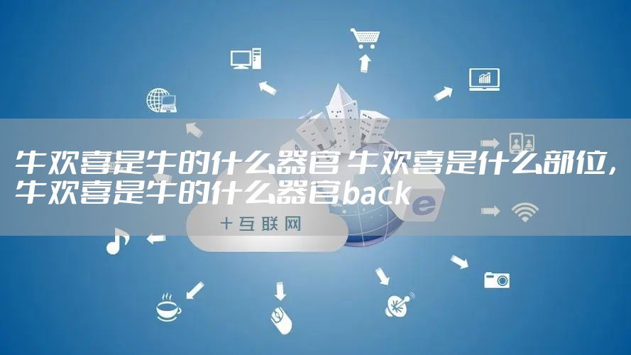 牛欢喜是牛的什么器官 牛欢喜是什么部位，牛欢喜是牛的什么器官back