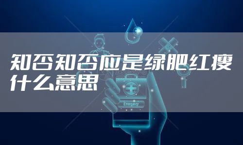 知否知否应是绿肥红瘦什么意思