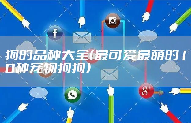 狗的品种大全（最可爱最萌的10种宠物狗狗）