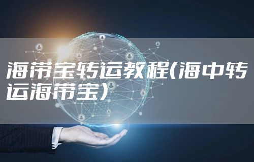 海带宝转运教程（海中转运海带宝）