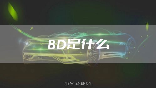 BD是什么